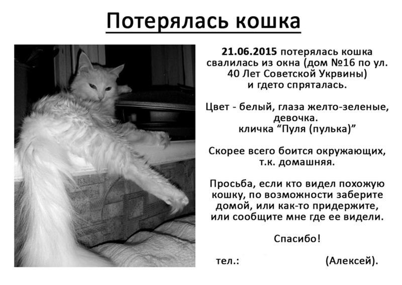 Коте 3 класс