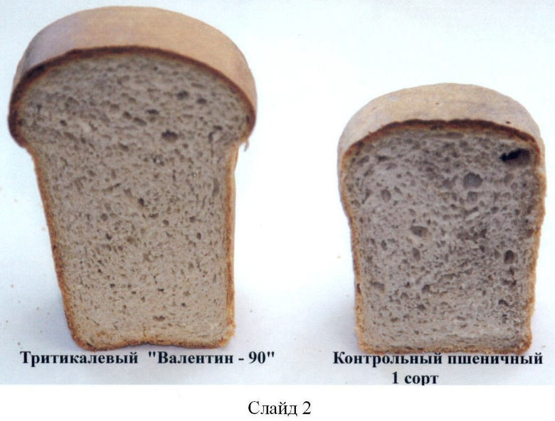 Сухие дрожжи на 1 кг муки. Дрожжевой хлеб в разрезе. Хлебобулочные изделия в разрезе. Белый хлеб в разрезе. Соотношение муки и дрожжей для хлеба.