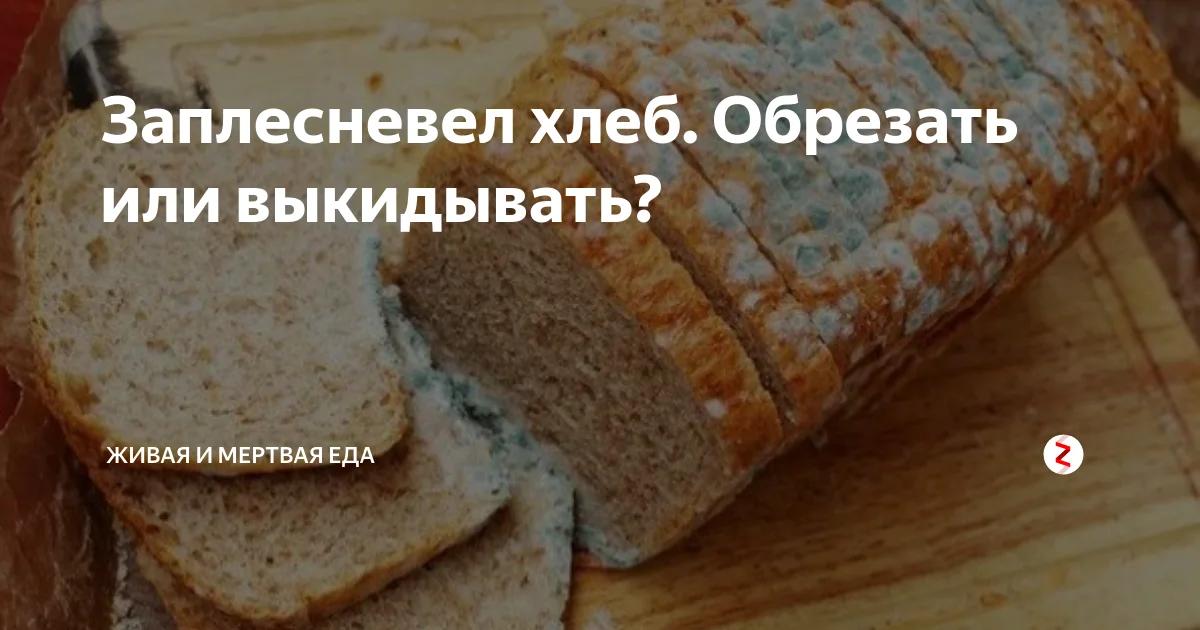 Почему плесневеет хлеб. Заплесневелый хлеб. Плесневелый хлеб фото. Немного плесневелый хлеб пшеничный. Плесневелый хлеб для птиц.