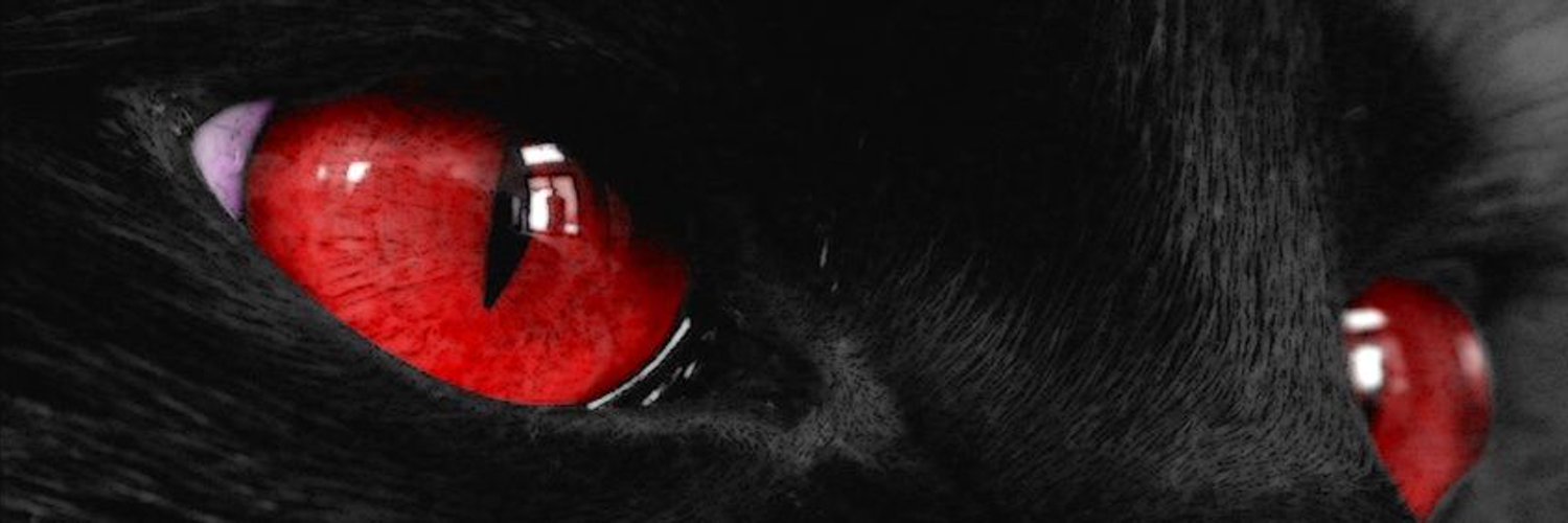 Рот черного цвета. Чёрный кот с красными глазами. Красный кошачий глаз.