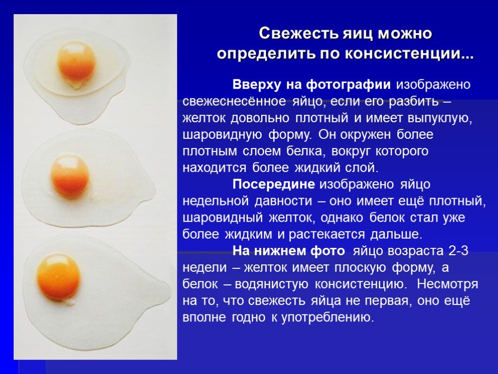 Почему белок жидкий. Свежесть яиц. Определить свежесть яиц. Определение свежести яиц. Определить свежесть куриного яйца.