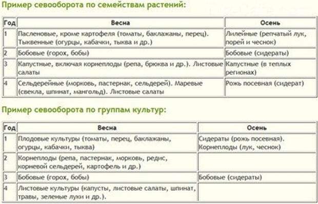 Как составлять овощной севооборот