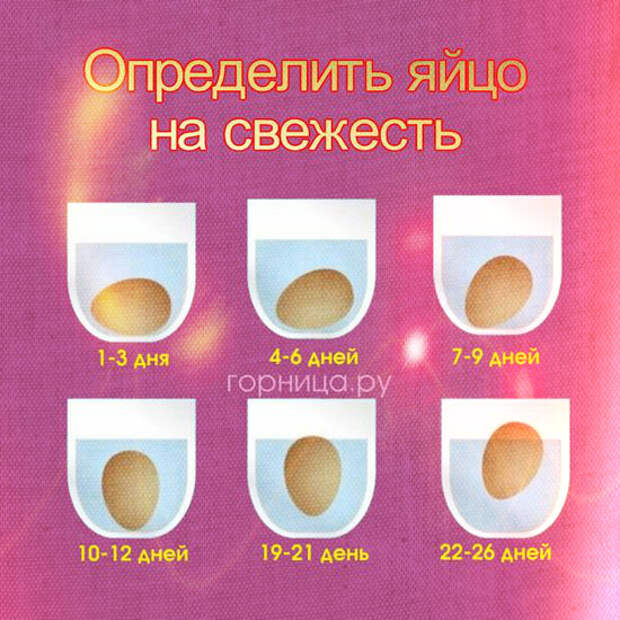 Как проверить перепелиные яйца на свежесть