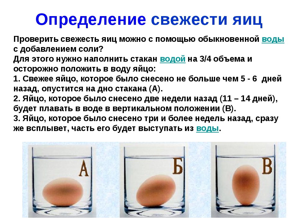 Сырое яйцо всплывает в холодной воде почему. Определить свежесть куриного яйца. Определить свежесть яиц в воде. Как понять свежесть яйца. Проверка яиц на свежесть.