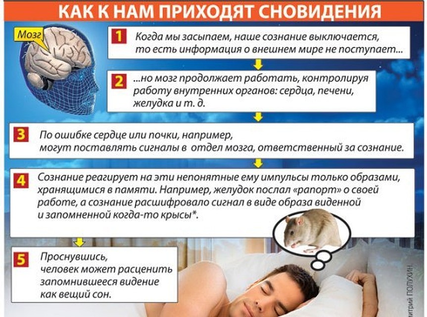 Почему много сплю причины. Сны и сновидения. Влияние сна на мозг человека. Тело человека во время сна. Сновидения мозг человек.