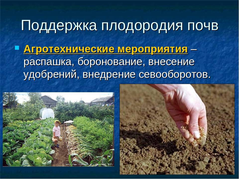 Повышение плодородие почвы называется. Оценка плодородия почв. Способы улучшения почвы. Плодородие почвы. Пути повышения плодородия почв.