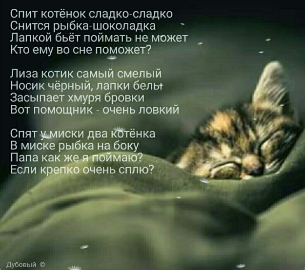 Песня спящего кота