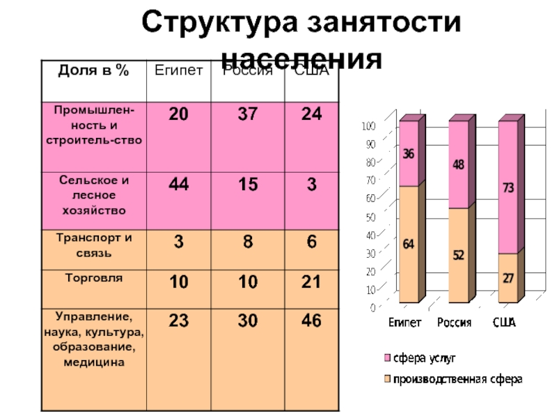 Занятость населения лекция. Структура занятости населения. Структура занятости населения России. Структура занятости населения США. Структура занятости Германии.