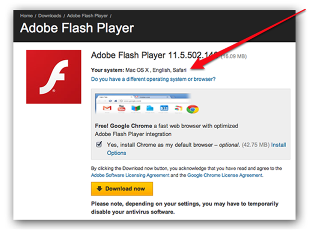 Флеш плеер. Adobe Flash Player 8. Flash Player Chrome. Flash браузер.